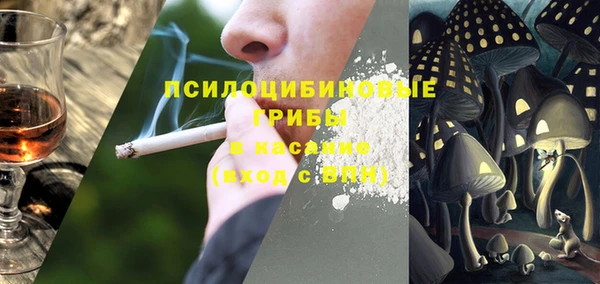 ПСИЛОЦИБИНОВЫЕ ГРИБЫ Беломорск