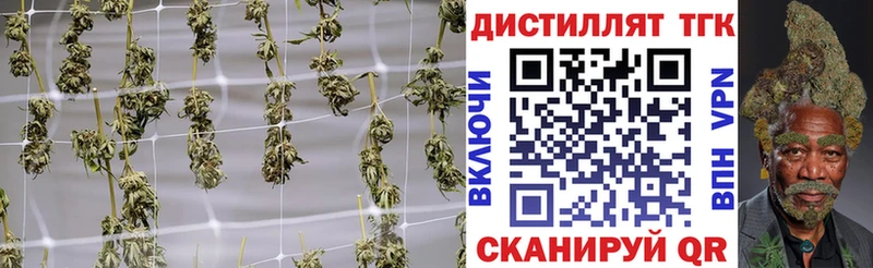 закладки  Лаишево  blacksprut как войти  Дистиллят ТГК концентрат 